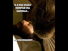 https://image.noelshack.com/fichiers/2018/04/3/1516776985-01.jpg