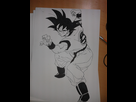 https://image.noelshack.com/minis/2018/04/3/1516830685-goku20171011-233252.png