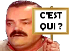 https://image.noelshack.com/fichiers/2018/04/4/1516875716-panneau-risitas-c-est-qui-3.png