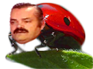 https://image.noelshack.com/fichiers/2018/04/4/1516887428-1482958801-coccinero.png