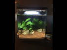 Aquarium du futur popoy 1516914402-img-0125