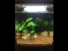 Aquarium du futur popoy 1516914405-img-0127