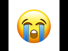 https://image.noelshack.com/minis/2018/04/6/1517070828-visage-triste-jaune-d-emoji-avec-l-ic-ne-pleurante-de-larme-95366354.png
