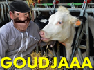 https://image.noelshack.com/minis/2018/04/7/1517099915-goudjaa.png
