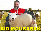 https://image.noelshack.com/fichiers/2018/04/7/1517100753-aid-moubarak.png