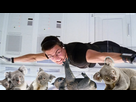 https://image.noelshack.com/minis/2018/04/7/1517174582-efhqul2.png