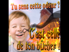 https://image.noelshack.com/minis/2018/05/1/1517228079-odeur.png