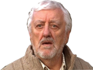 https://image.noelshack.com/fichiers/2018/05/1/1517247451-wilfred-mott.gif