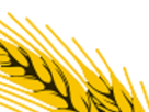 https://image.noelshack.com/minis/2018/05/1/1517258280-16-032.png