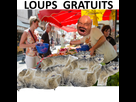 https://image.noelshack.com/fichiers/2018/05/2/1517308011-loup-free.png