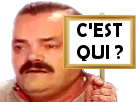 https://image.noelshack.com/fichiers/2018/05/2/1517311213-panneau-risitas-c-est-qui-4.png