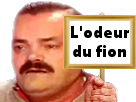 https://image.noelshack.com/fichiers/2018/05/2/1517317889-panneau-risitas-l-odeur-du-fion.png