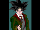 https://image.noelshack.com/fichiers/2018/05/2/1517339473-goku-poster.png