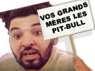 https://image.noelshack.com/fichiers/2018/05/3/1517357564-henni-vos-grands-meres-les-pit-bull.png