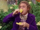 https://image.noelshack.com/minis/2018/05/4/1517511448-willy-wonka.png