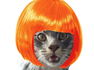 https://image.noelshack.com/minis/2018/05/5/1517553702-mimi-2.png
