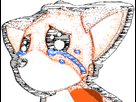 https://image.noelshack.com/minis/2018/05/6/1517695501-renard.png