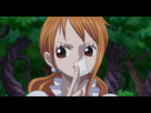 https://image.noelshack.com/fichiers/2018/05/7/1517708788-nami5.jpg