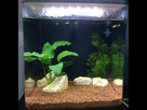 Aquarium du futur popoy 1517743240-img-0134