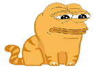 https://image.noelshack.com/minis/2018/05/7/1517776924-cat.png