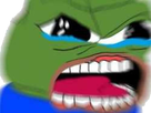 https://image.noelshack.com/minis/2018/05/7/1517777083-rege.png