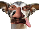 https://image.noelshack.com/minis/2018/06/1/1517795750-1517795876077.png
