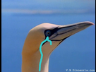 https://image.noelshack.com/minis/2018/06/1/1517834731-sans-titre-1fe.png