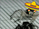 https://image.noelshack.com/minis/2018/06/1/1517834788-araignee-maracas.png