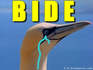 https://image.noelshack.com/minis/2018/06/1/1517836101-sans-titre-nide1fe.png