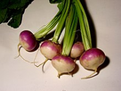https://image.noelshack.com/fichiers/2018/06/1/1517844892-220px-brassica-rapa-turnip.jpg