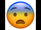 https://image.noelshack.com/fichiers/2018/06/1/1517867582-fearful-face2.png