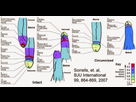 https://image.noelshack.com/fichiers/2018/06/2/1517911653-sorrells-et-al-sensitivity-study.jpg