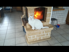 https://image.noelshack.com/minis/2018/06/2/1517948406-img-20171216-120151.png