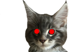 https://image.noelshack.com/minis/2018/06/3/1517980654-chatterminator.png