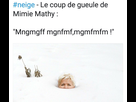 https://image.noelshack.com/fichiers/2018/06/3/1518016502-whatsapp-image-2018-02-07-at-15-53-45.jpeg
