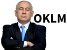 https://image.noelshack.com/fichiers/2018/06/3/1518033662-netanyahu-oklm.png