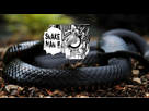https://image.noelshack.com/fichiers/2018/06/5/1518167452-mamba.jpg