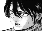 https://image.noelshack.com/minis/2018/06/5/1518204010-mikasa-peur.png