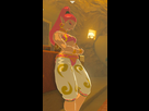 https://image.noelshack.com/fichiers/2018/06/6/1518265907-gerudo-botw.png