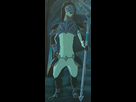 https://image.noelshack.com/fichiers/2018/06/6/1518267589-zora-botw.png