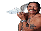 https://image.noelshack.com/fichiers/2018/06/6/1518271782-danny-trejo1.png