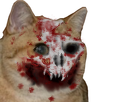 https://image.noelshack.com/minis/2018/06/6/1518296979-chat-mutilation.png