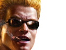 https://image.noelshack.com/fichiers/2018/06/7/1518368929-duke1.png