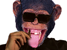 https://image.noelshack.com/fichiers/2018/07/1/1518457513-sans-titre.png