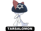 https://image.noelshack.com/fichiers/2018/07/1/1518458677-tarsalomon.png