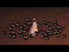 https://image.noelshack.com/minis/2018/07/2/1518477625-45888.png