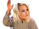 https://image.noelshack.com/minis/2018/07/5/1518820415-chaorisitexas.png