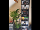 https://image.noelshack.com/fichiers/2018/07/6/1518868105-20180217-124522.jpg