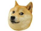 https://image.noelshack.com/fichiers/2018/07/6/1518868341-doge-right.png