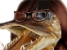 https://image.noelshack.com/minis/2018/07/6/1518882177-oiuy.png